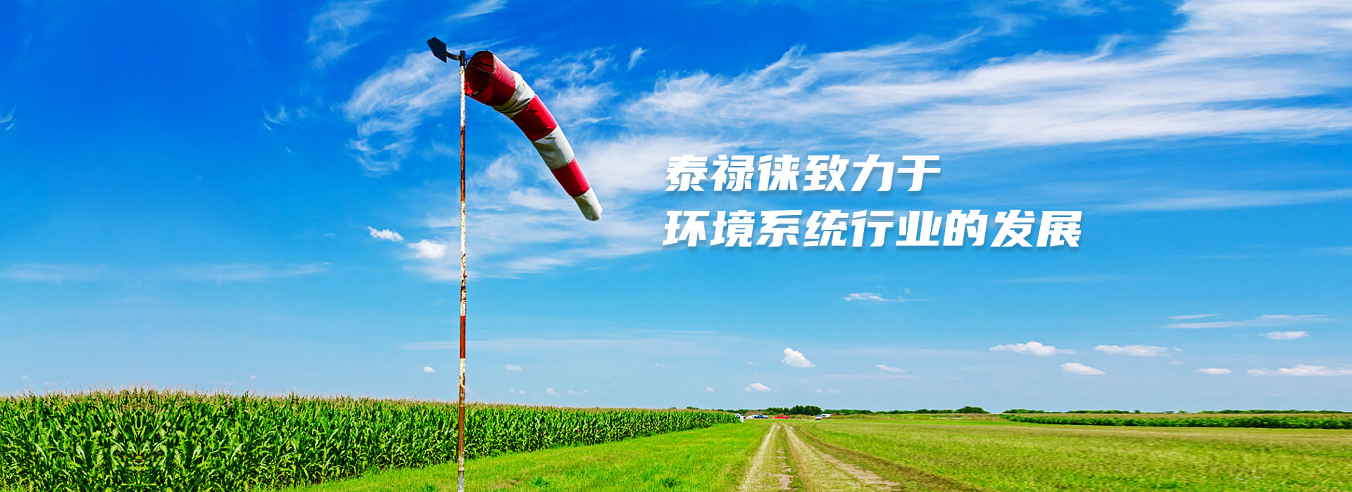  武漢泰祿徠環(huán)境系統有限公司
